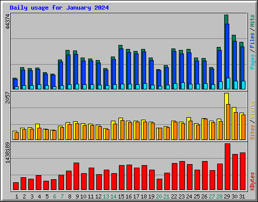 Daily usage for January 2024