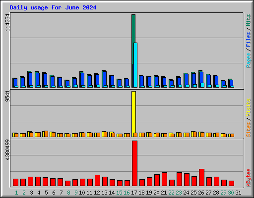 Daily usage for June 2024