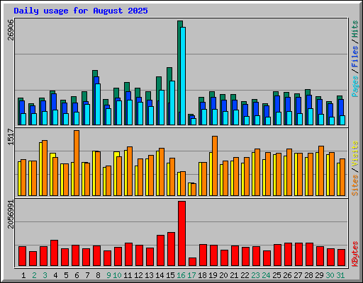 Daily usage for August 2025