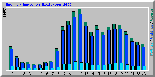 Uso por horas en Diciembre 2020