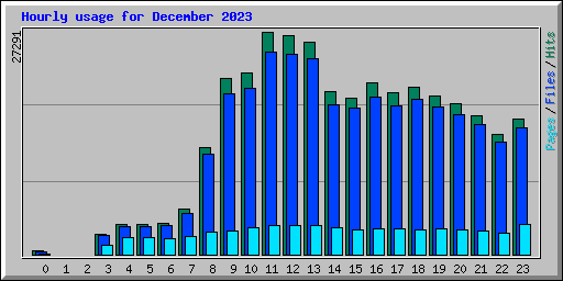 Hourly usage for December 2023