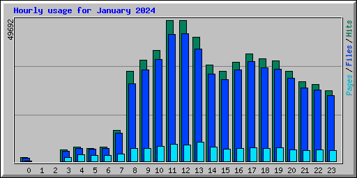 Hourly usage for January 2024