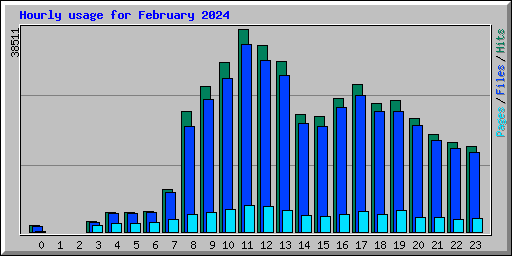 Hourly usage for February 2024