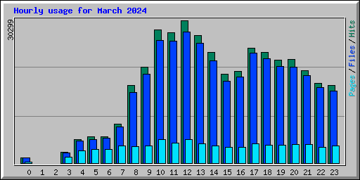 Hourly usage for March 2024