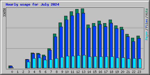 Hourly usage for July 2024