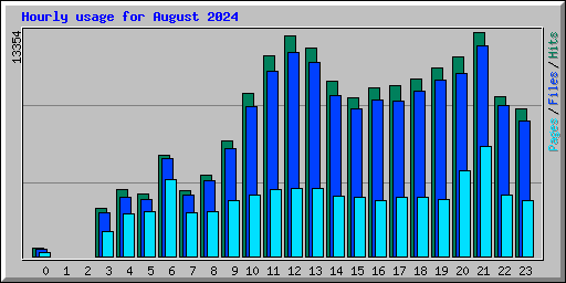 Hourly usage for August 2024