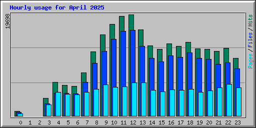 Hourly usage for April 2025