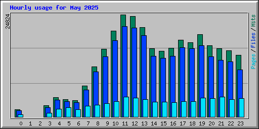 Hourly usage for May 2025