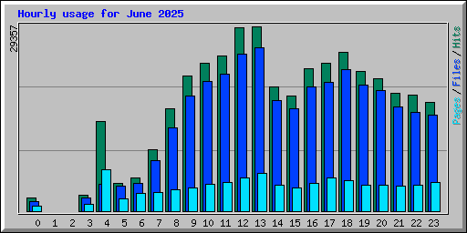 Hourly usage for June 2025