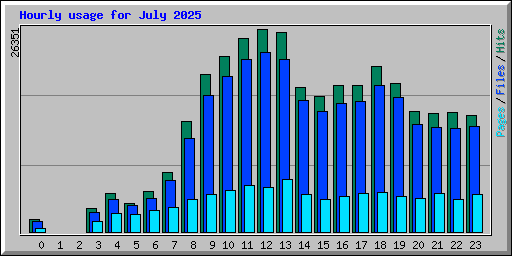 Hourly usage for July 2025