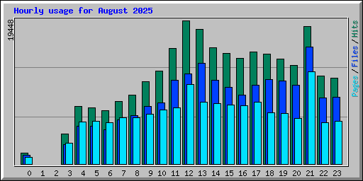 Hourly usage for August 2025