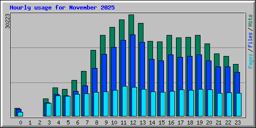 Hourly usage for November 2025