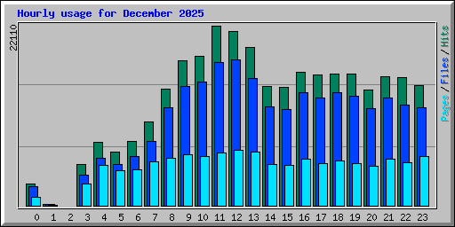 Hourly usage for December 2025