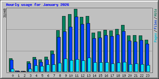Hourly usage for January 2026