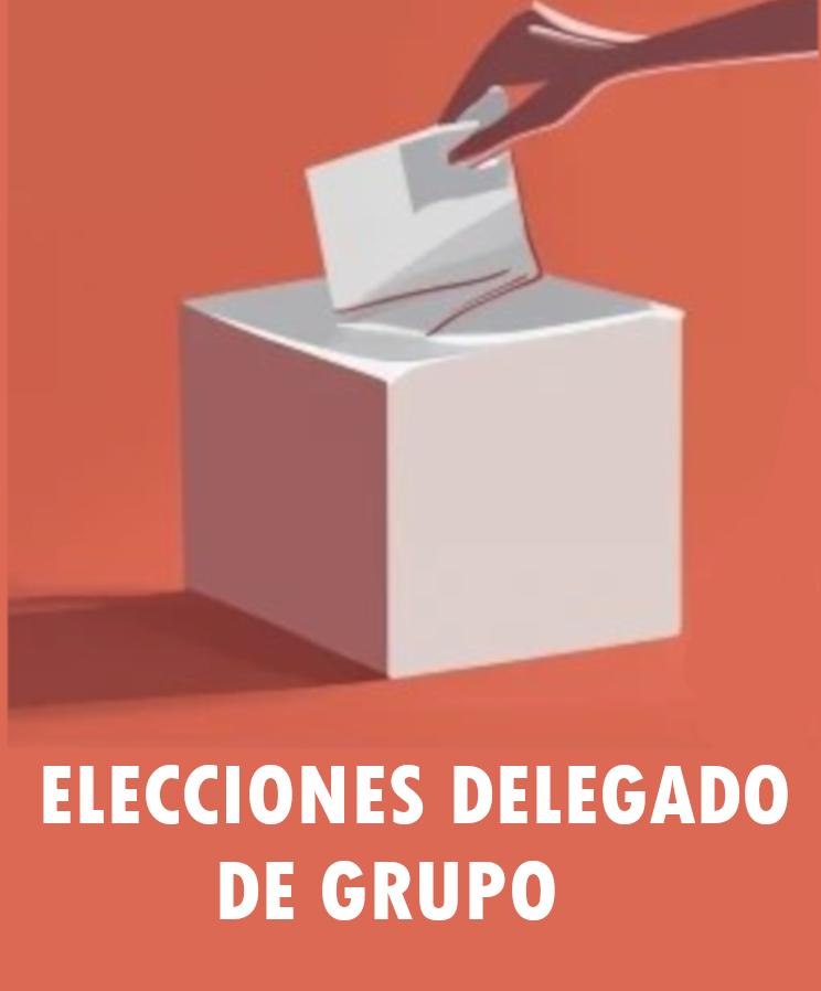 Elecciones delegado grupo