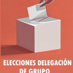 Elecciones Delegación de Grupo